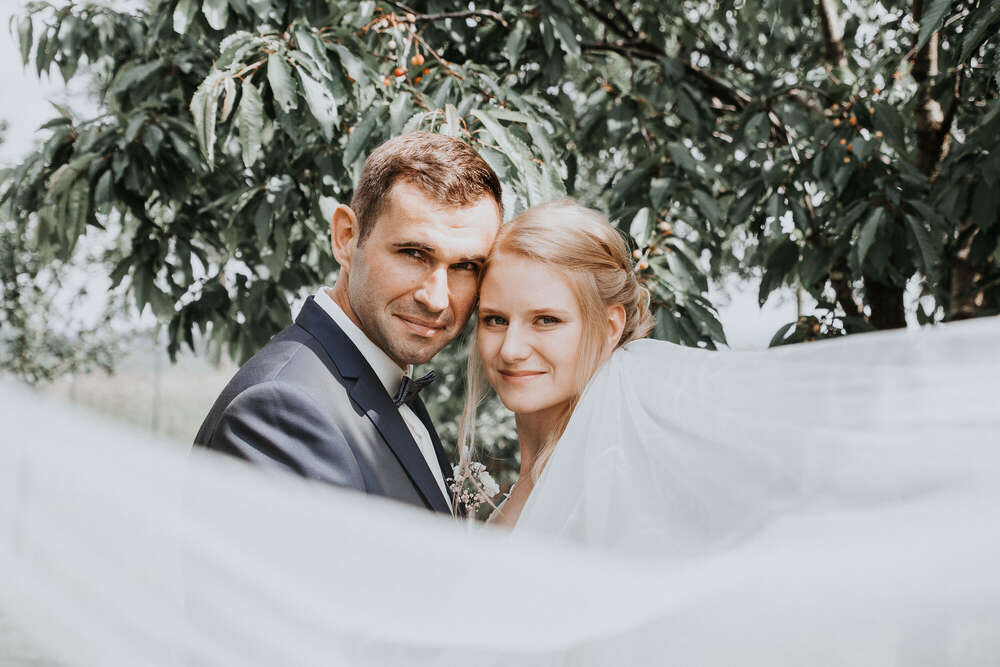 marografik (marografik)