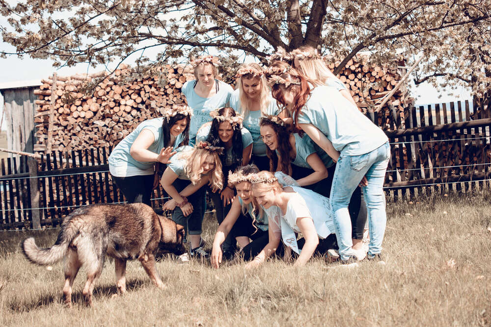 marografik (marografik)