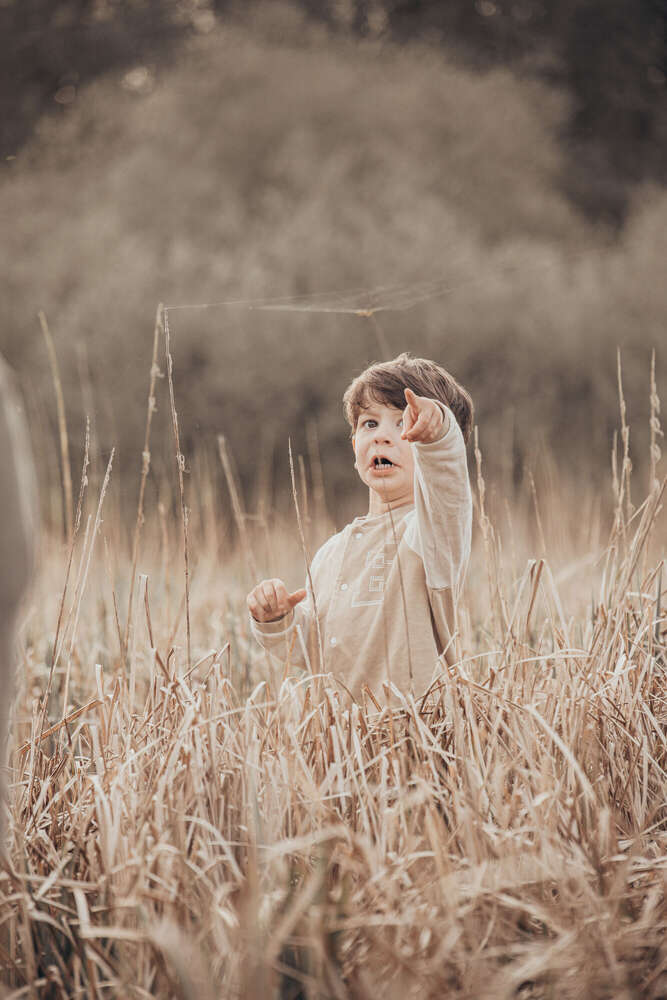 marografik (marografik)