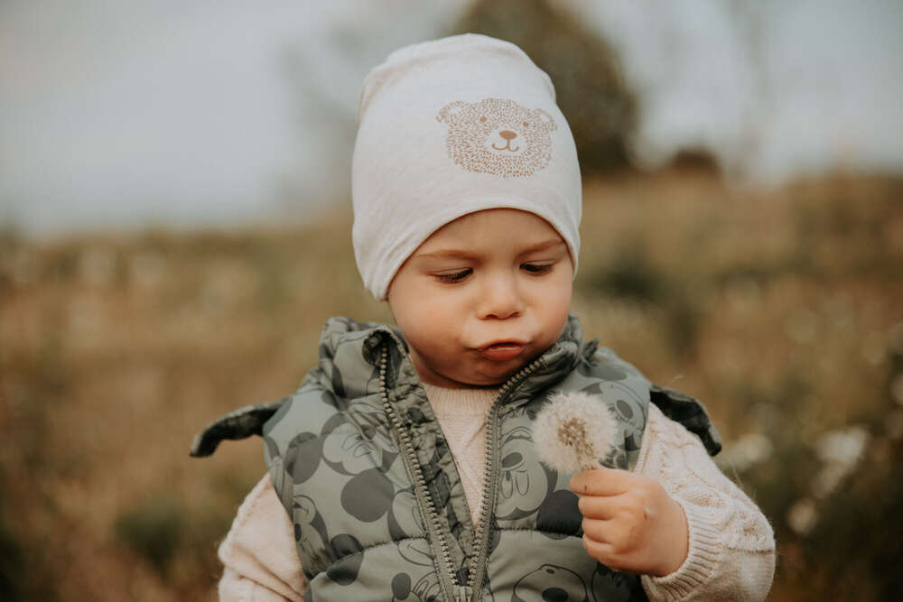 marografik (marografik)