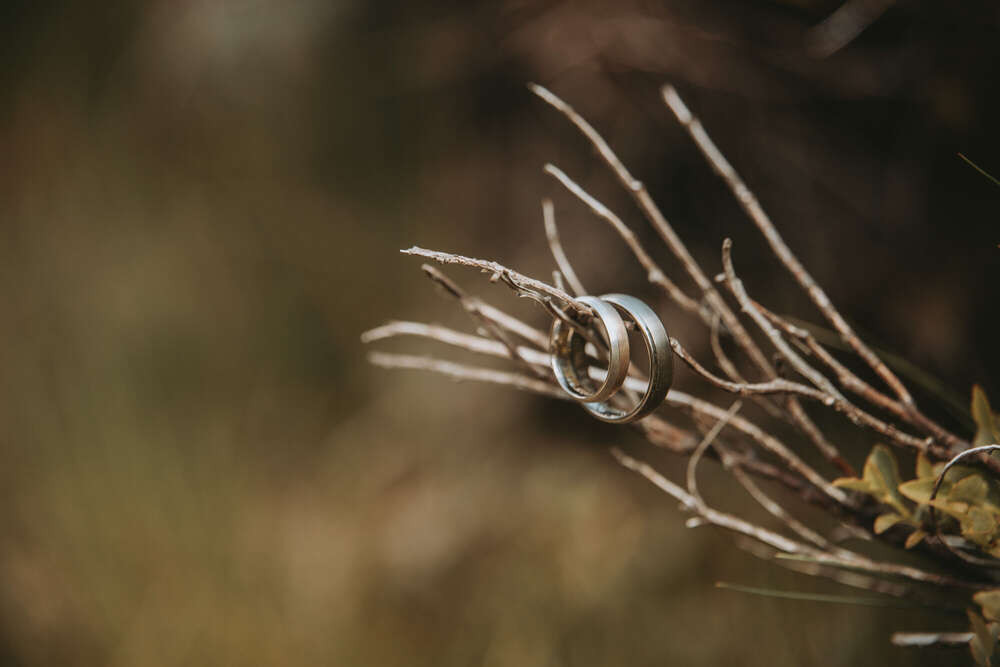 marografik (marografik)