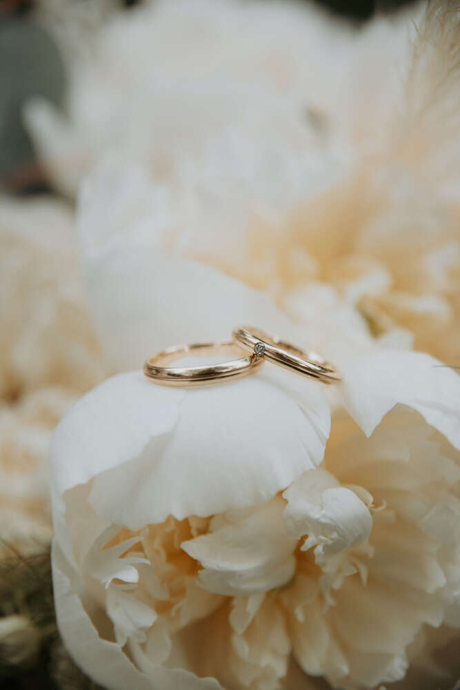 marografik (marografik)