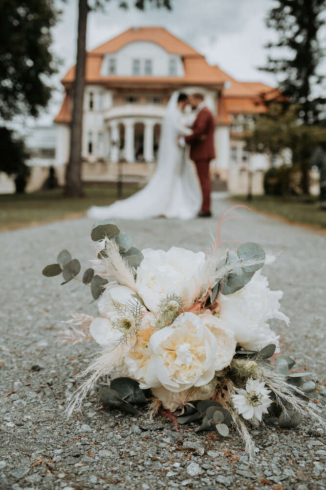 marografik (marografik)