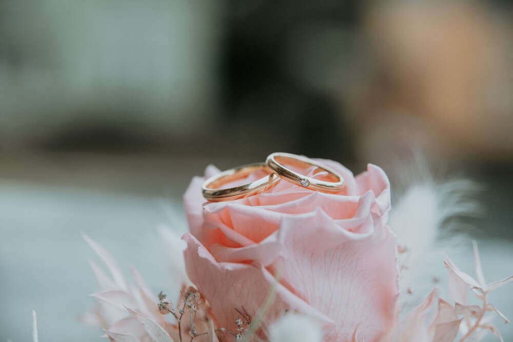 marografik (marografik)