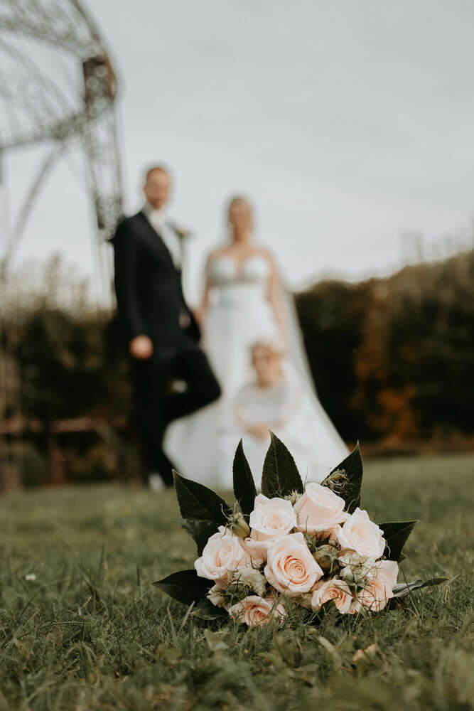 Family love  (marografik)