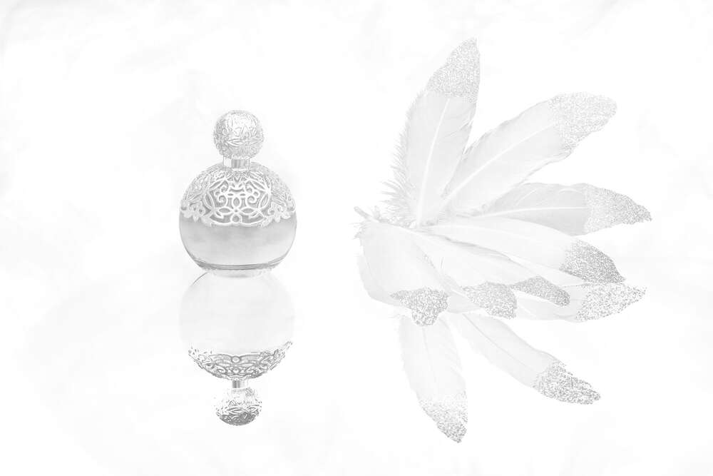 Tier-Fotografie (Petra den Dulk - Photography)