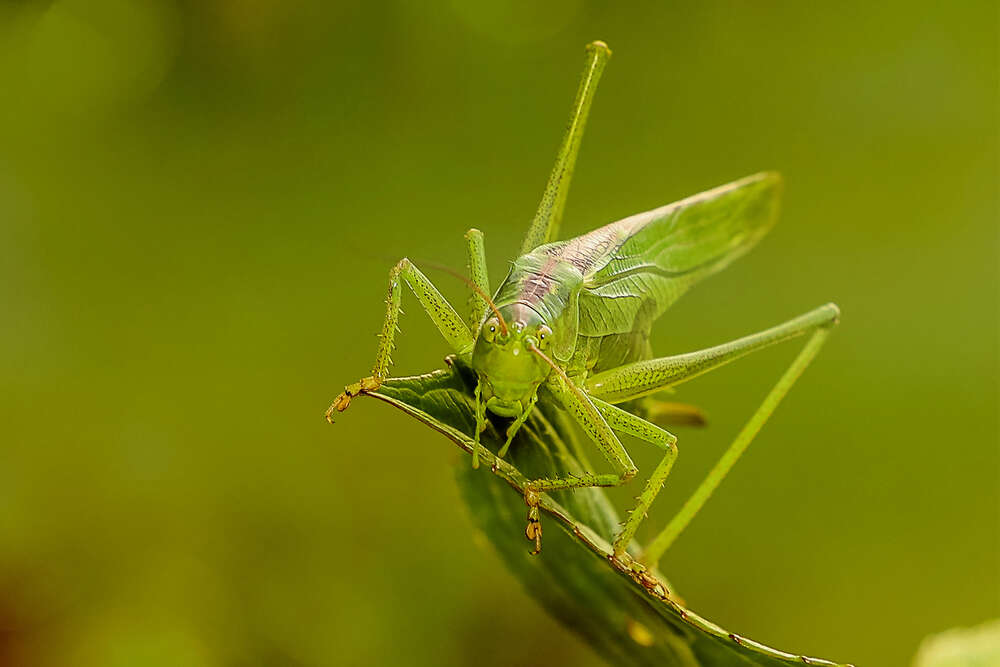 Petra den Dulk - Photography (Petra den Dulk - Photography)