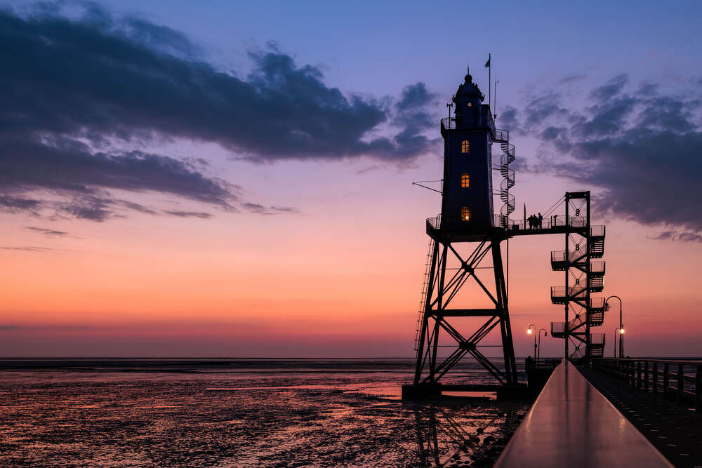 Petra den Dulk - Photography (Petra den Dulk - Photography)