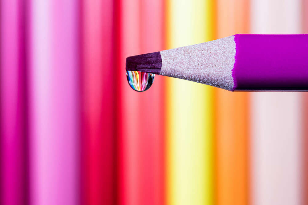 Makro (Petra den Dulk - Photography)