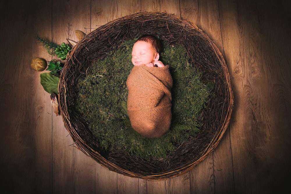 Baby im Vogelnest (Fotograf am See)