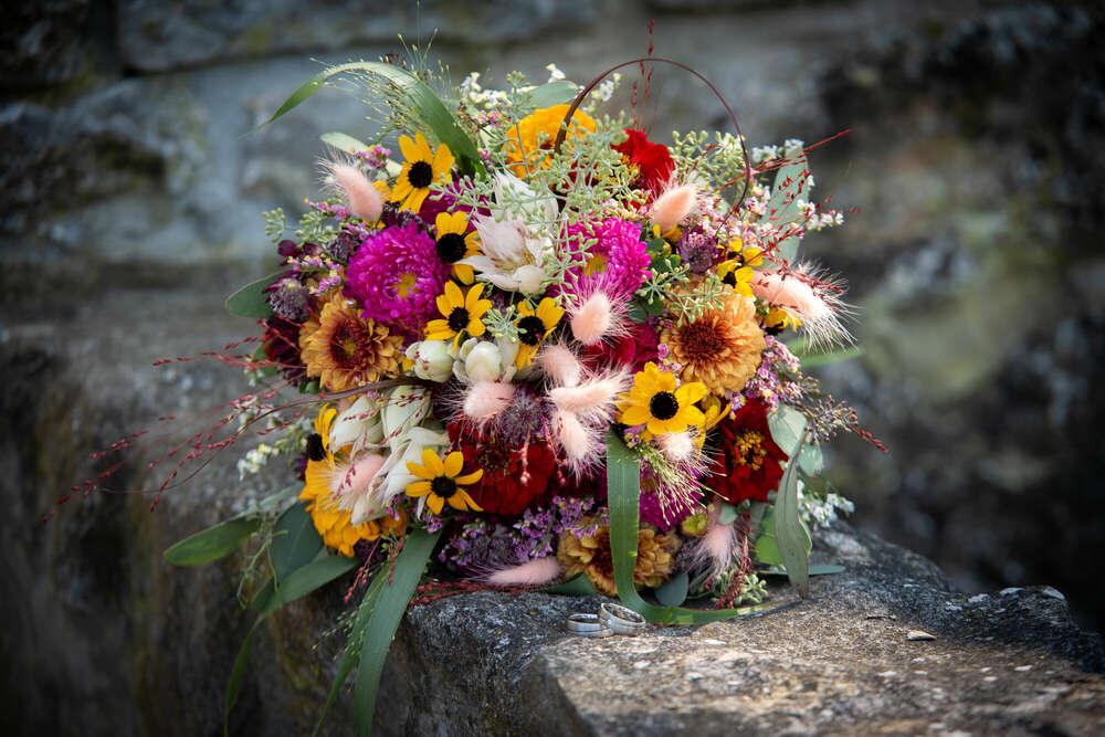 Bildwerk Andrea Dehner (Bildwerk Andrea Dehner)