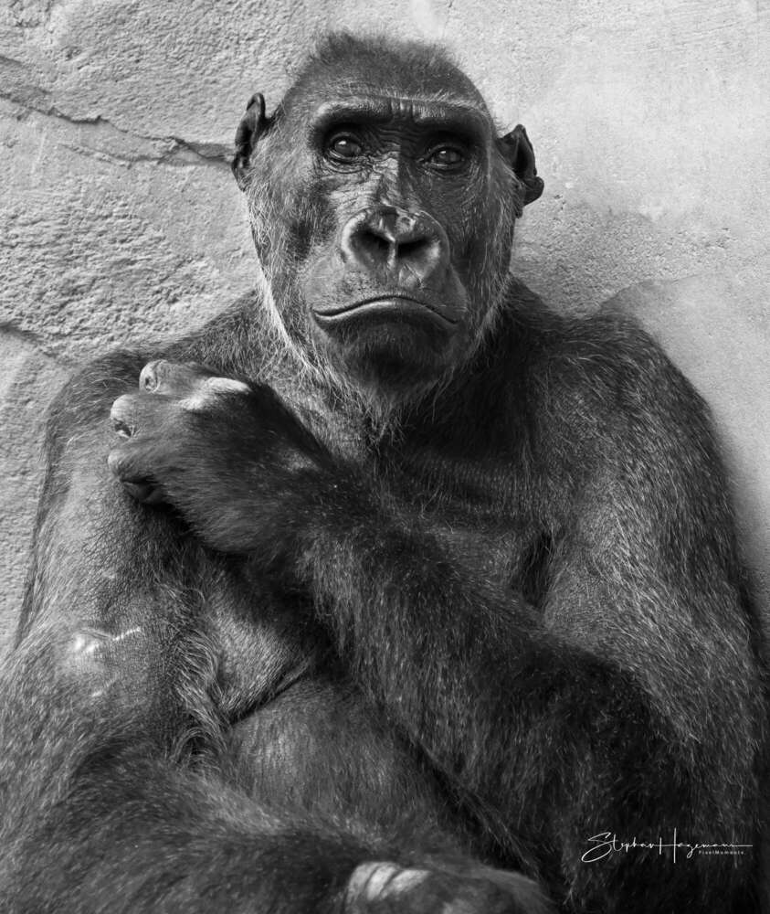 SehEreignis. (PixelMomente.)