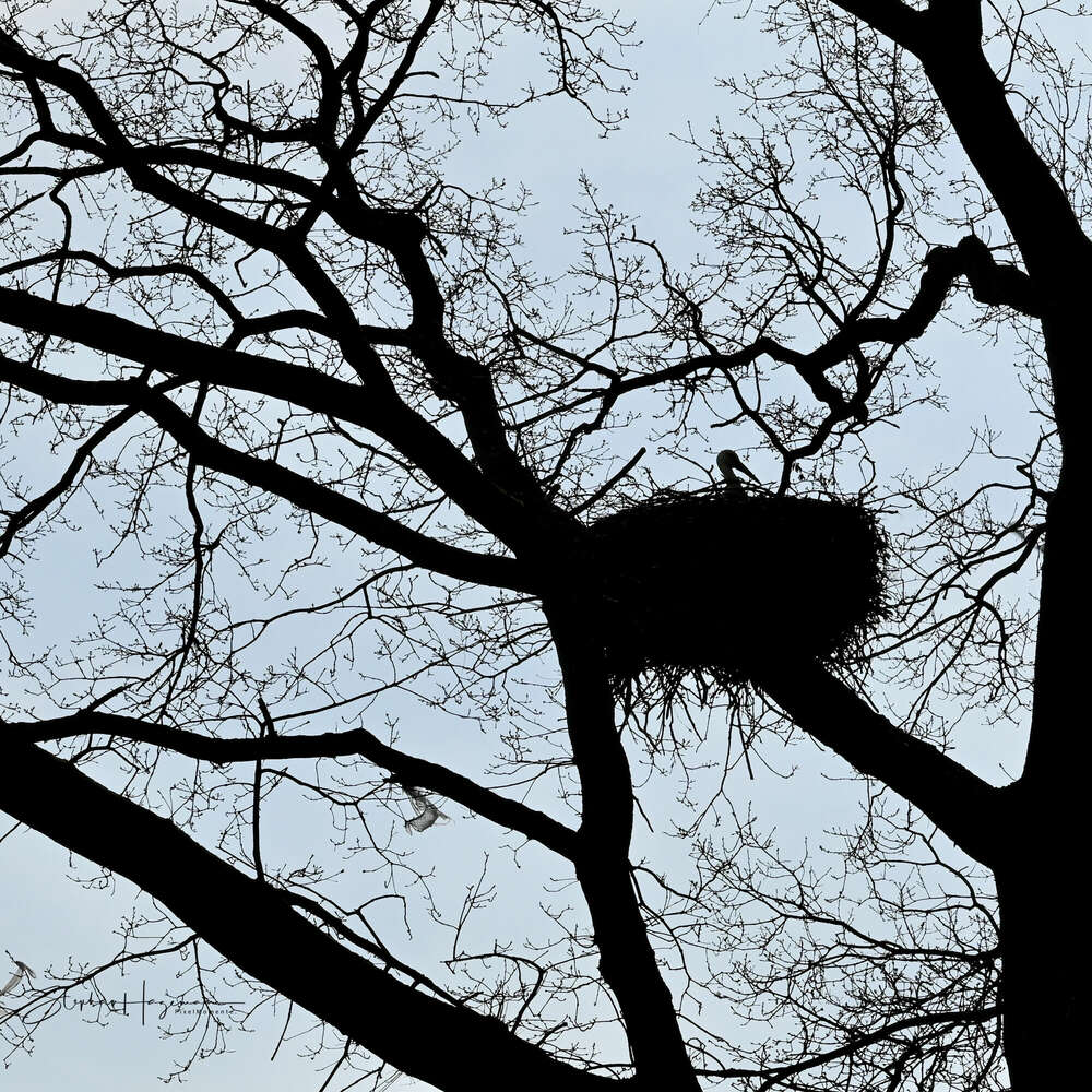 KinderStube. (PixelMomente.)