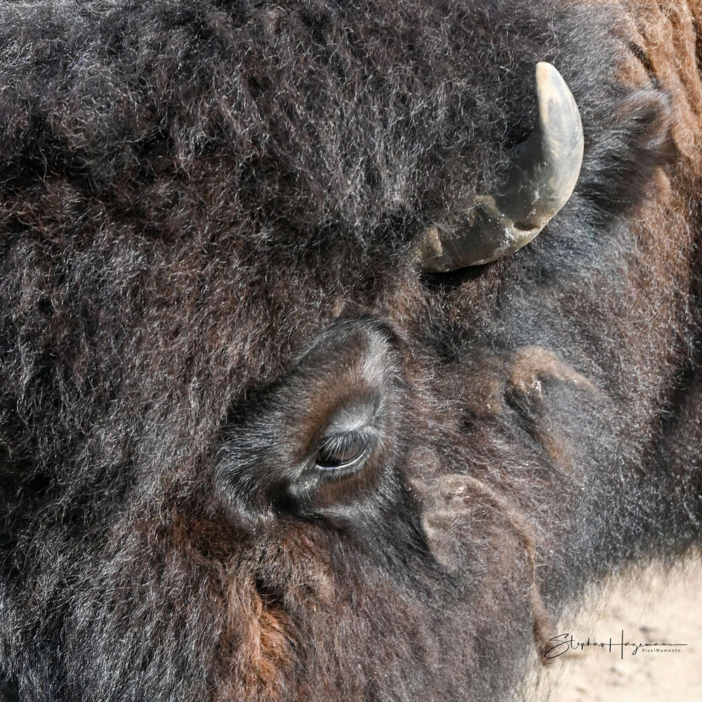 SanfterRiese. (PixelMomente.)