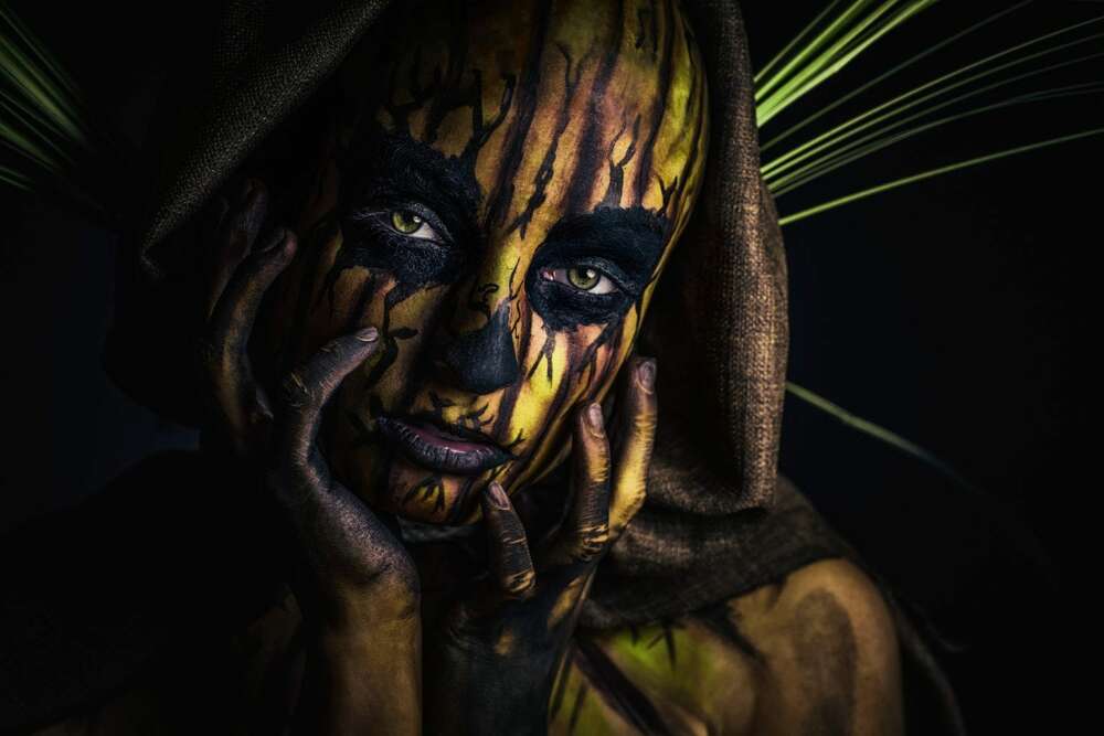 Multi Media Design Patrick Schmetzer (Multi Media Design Patrick Schmetzer)