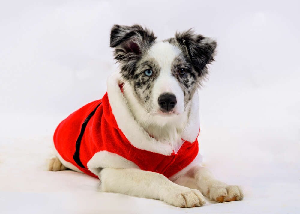 Fotostudio Michael Hartmann (Fotostudio Michael Hartmann)