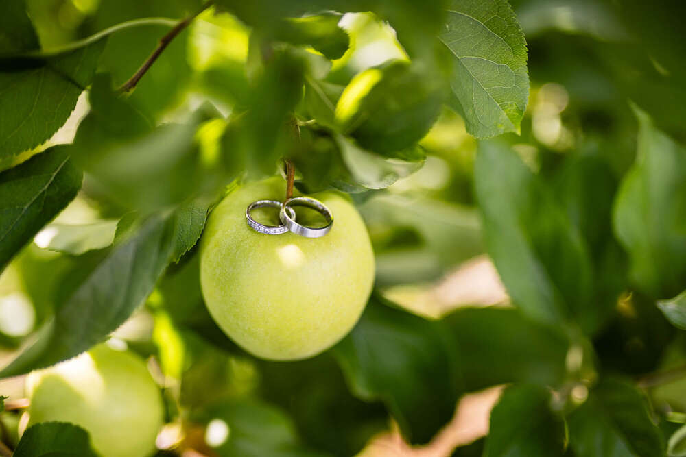 Malte Reiter Fotografie (Malte Reiter Fotografie)