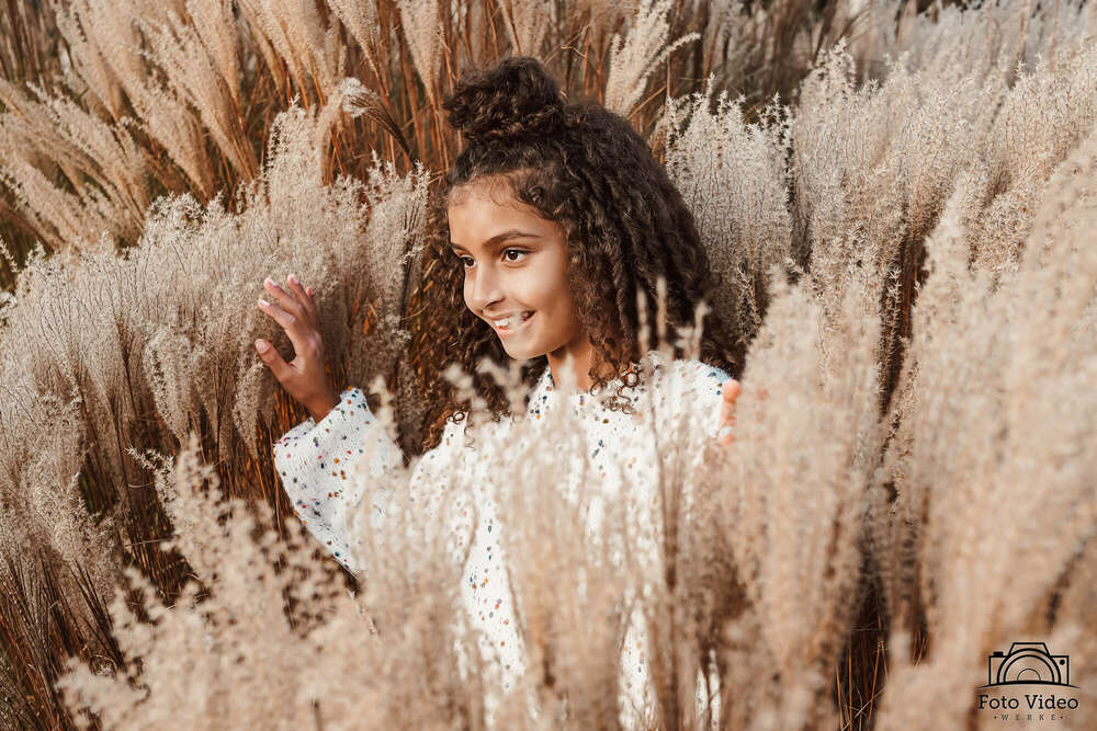 Foto-Video-Werke (Foto-Video-Werke)