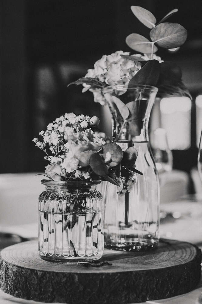 Fräulein Kamera (Fräulein Kamera)