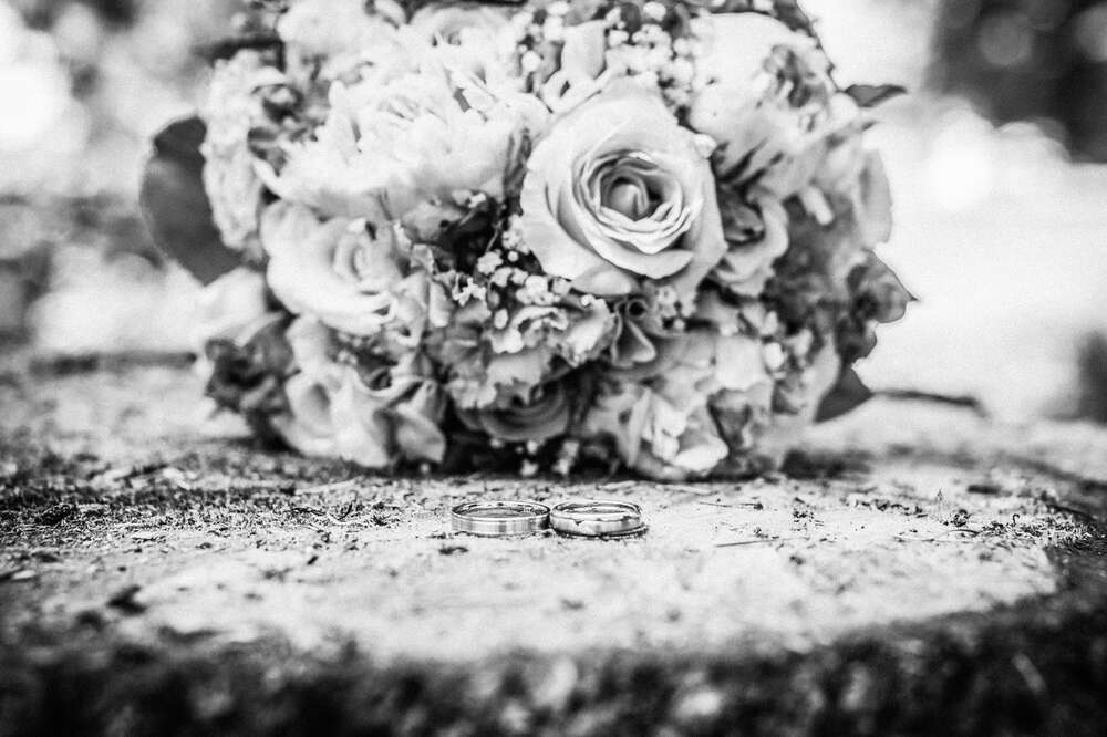 Fräulein Kamera (Fräulein Kamera)