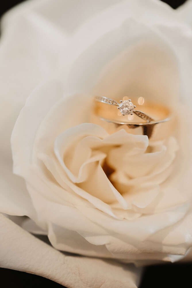 The Moment - Wedding Photographer (The Moment - Wedding Photographer)