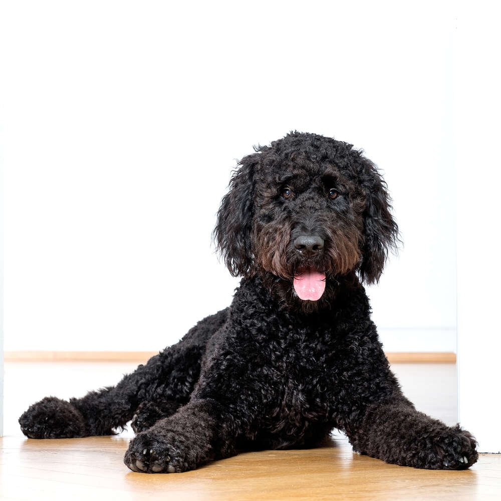 Fotografie Lichtblick (Fotografie Lichtblick)