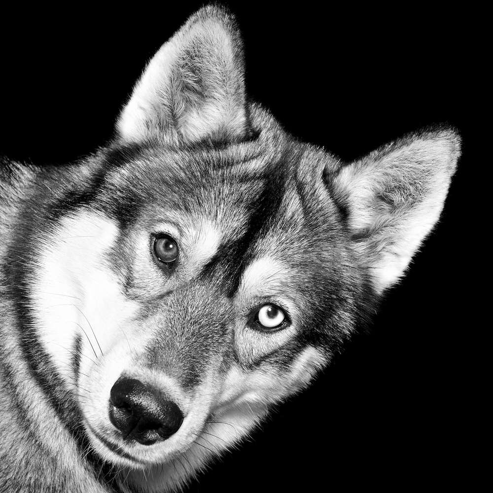 Fotografie Lichtblick (Fotografie Lichtblick)