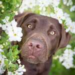 Ruhrgeknipse - Tierfotografie