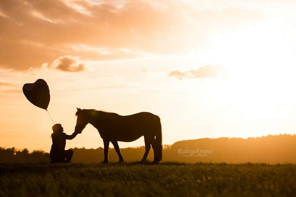 Ruhrgeknipse - Tierfotografie (Ruhrgeknipse - Tierfotografie)
