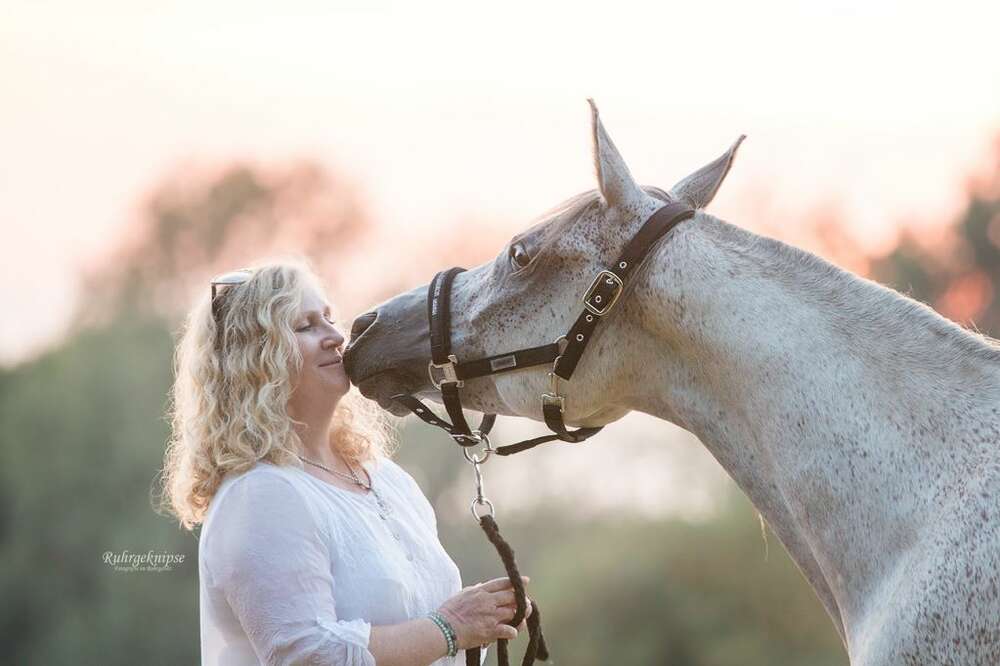Ruhrgeknipse - Tierfotografie (Ruhrgeknipse - Tierfotografie)
