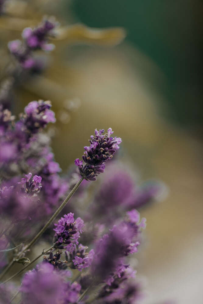 LittleRawMoments (LittleRawMoments)