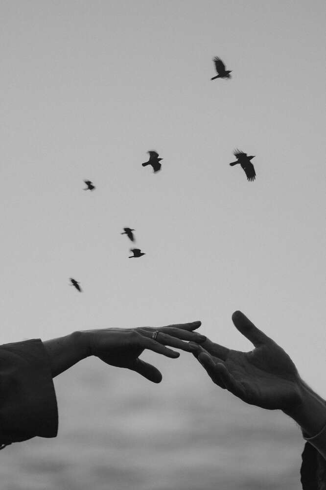 Irina Mehnert Photography / www.irinamehnert.com