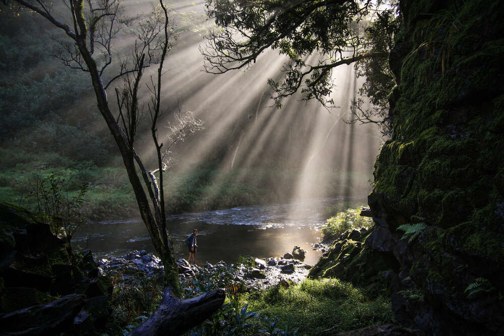 Florian Krauss Fotografie (Florian Krauss Fotografie)