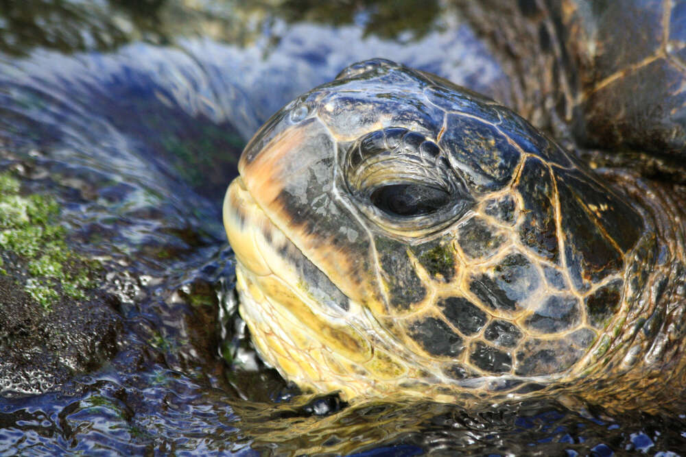 Florian Krauss Fotografie (Florian Krauss Fotografie)