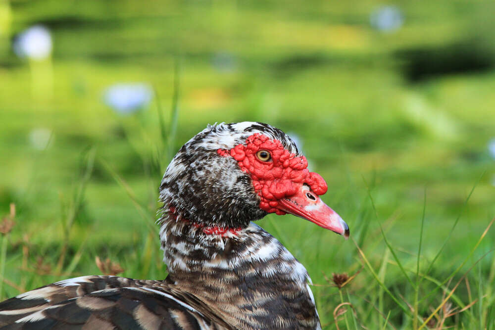 Florian Krauss Fotografie (Florian Krauss Fotografie)