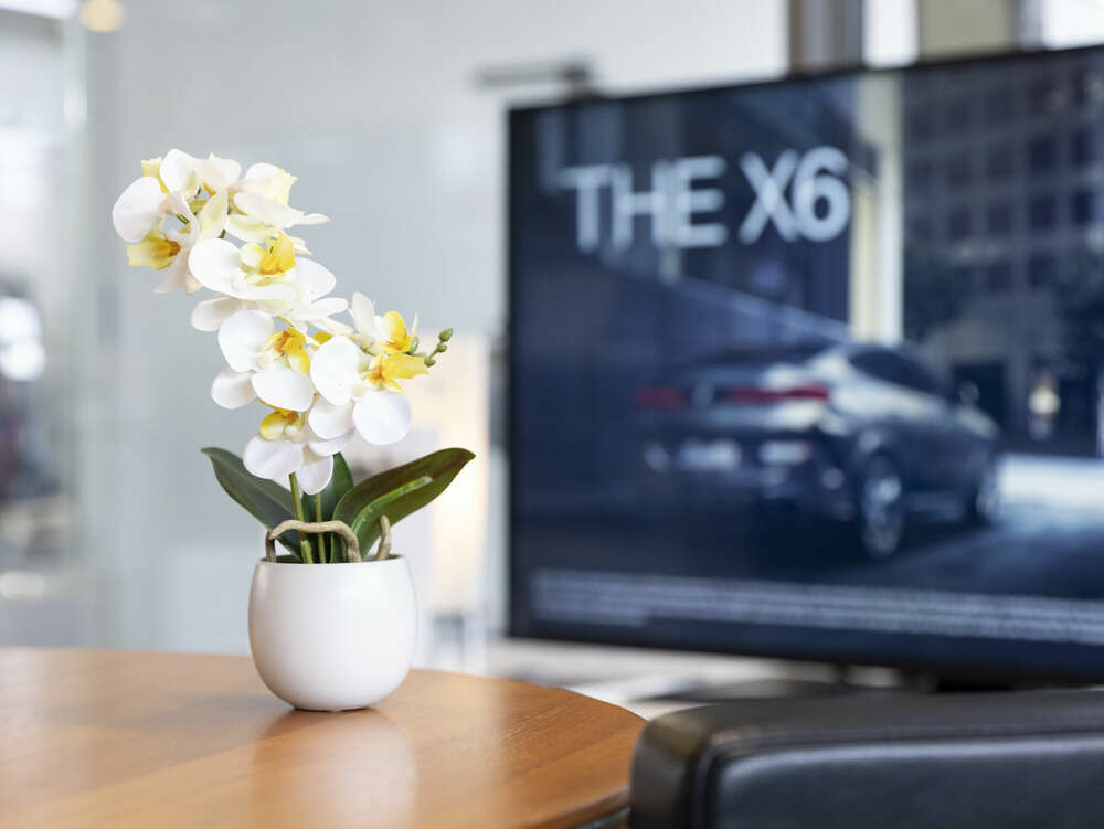 Autohaus Showroom Aufnahmen (Bernig Marketing)