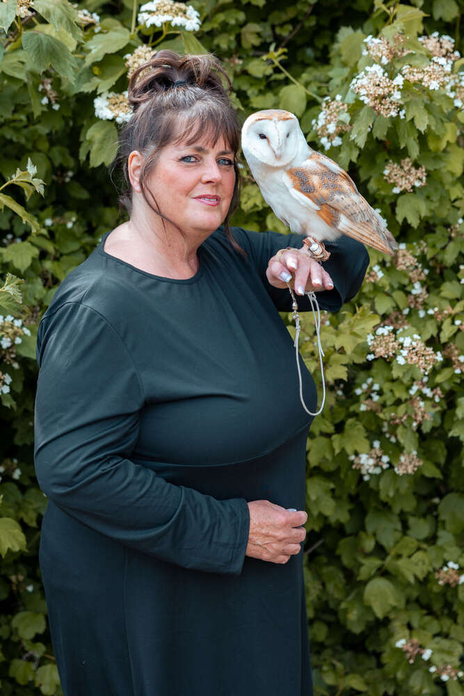 Eulen- und Greifvogel Event