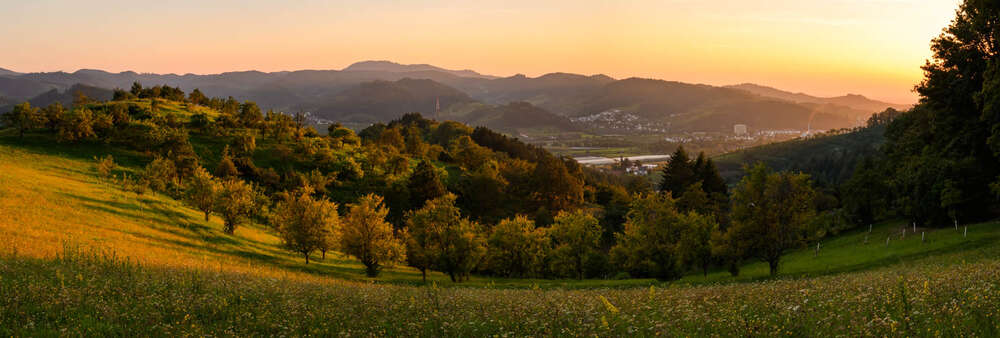 Florian Orth Photography (Florian Orth Photography)