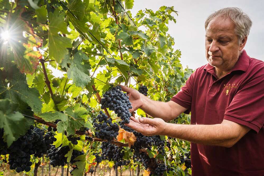 Florian Orth Photography (Florian Orth Photography)