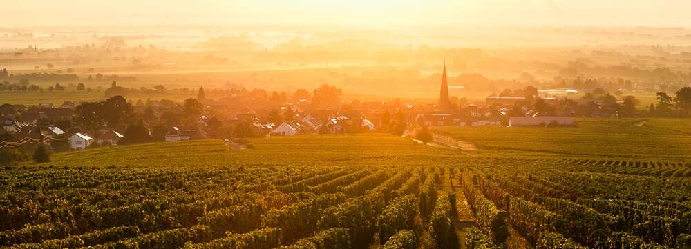 Florian Orth Photography (Florian Orth Photography)