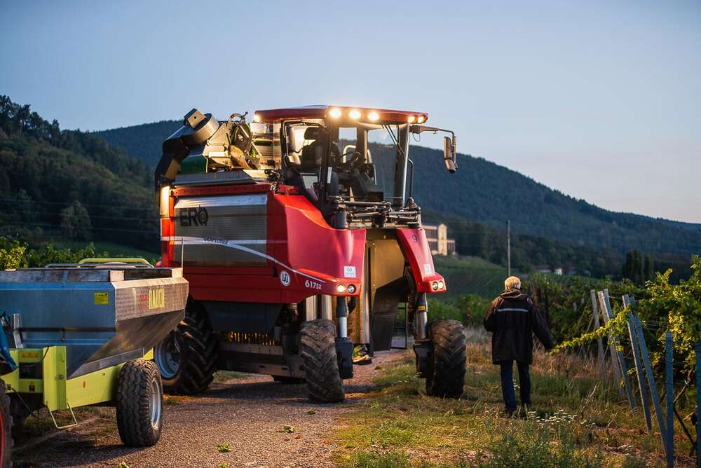 Florian Orth Photography (Florian Orth Photography)