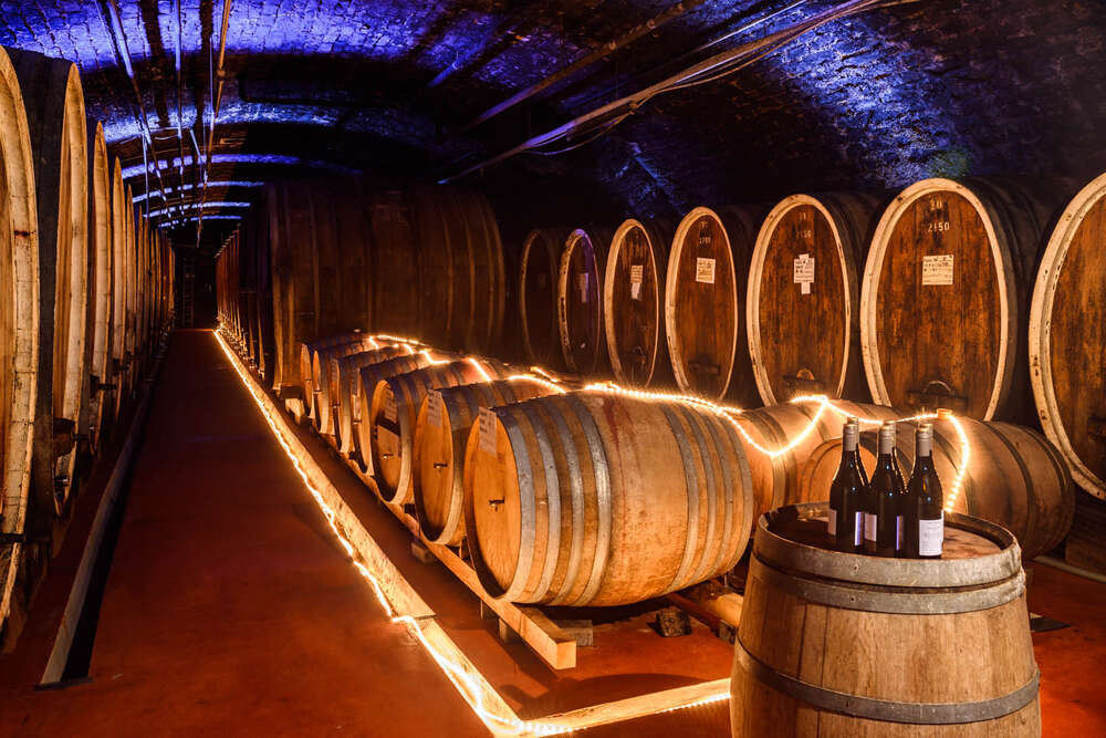 Florian Orth Photography (Florian Orth Photography)