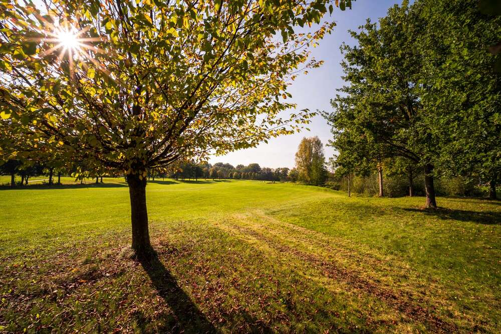 Florian Orth Photography (Florian Orth Photography)