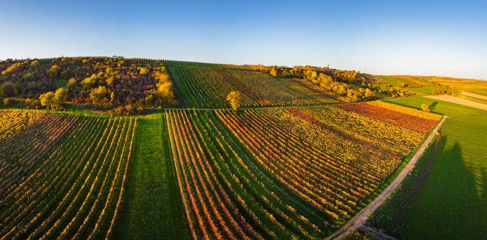 Florian Orth Photography (Florian Orth Photography)