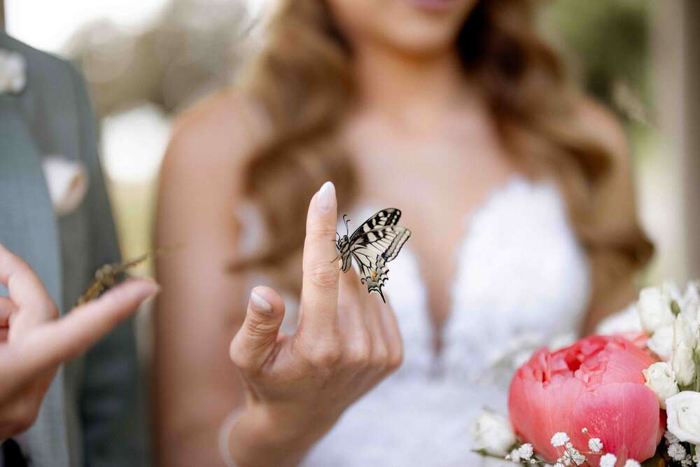 ZK Fotografie (ZK Fotografie)