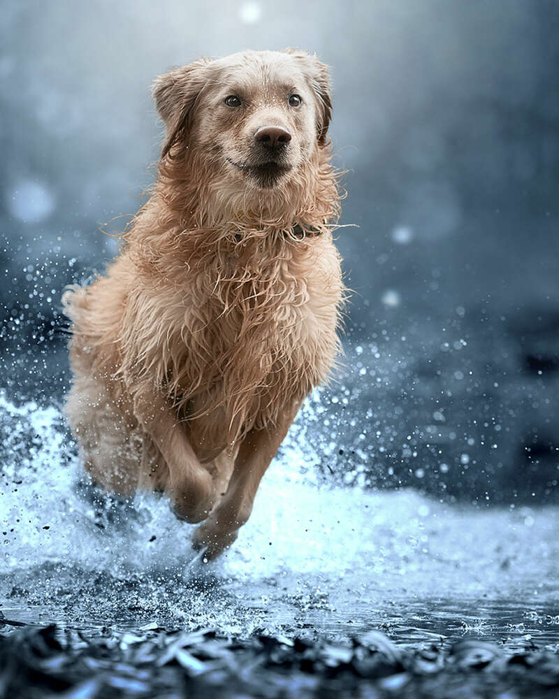 Patrick Kuhn Fotografie