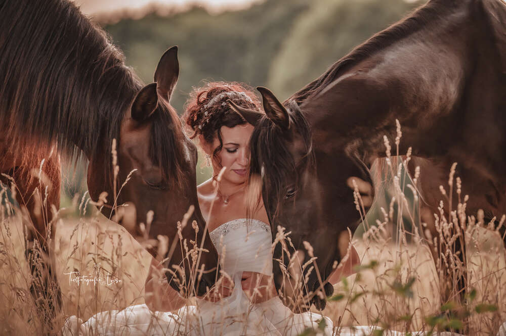 After-wedding Fotoshooting mit Pferden (www.tierfotografie-luisa.de)