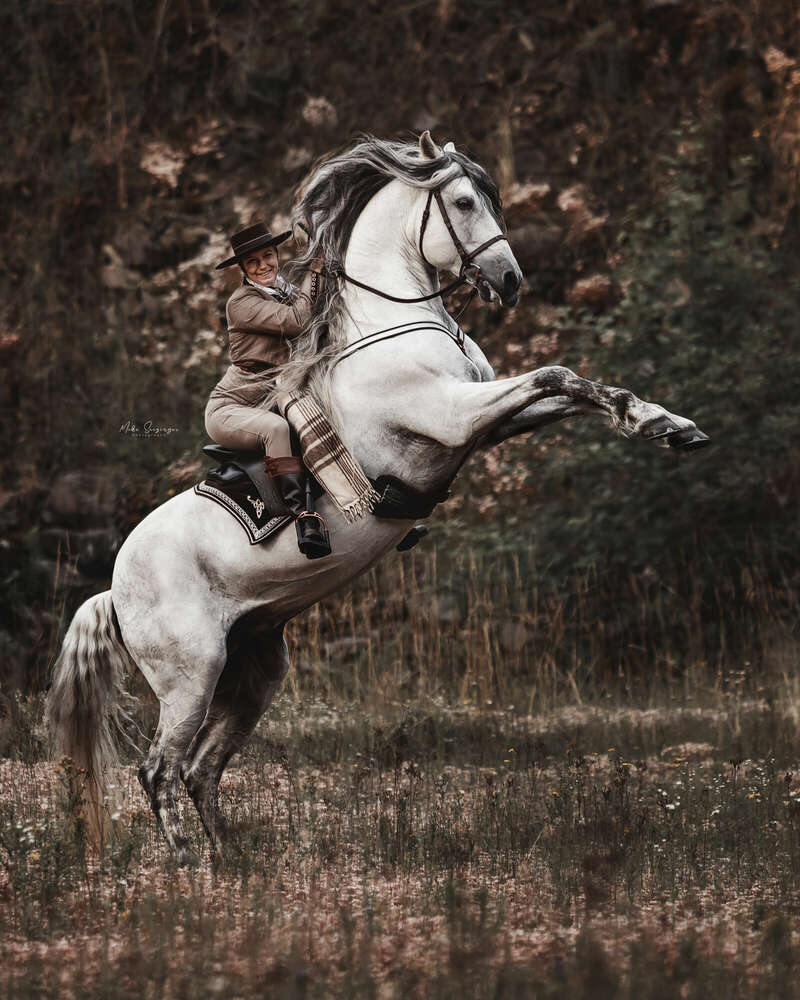 Mike Seizinger Photography