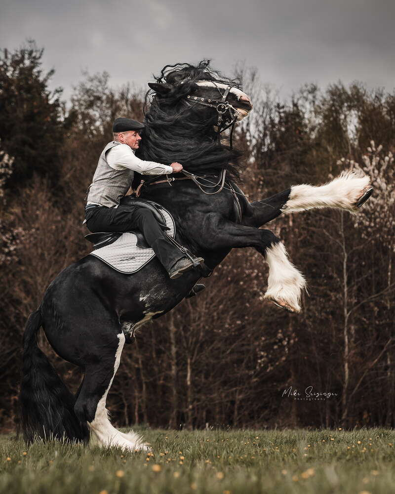 Mike Seizinger Photography