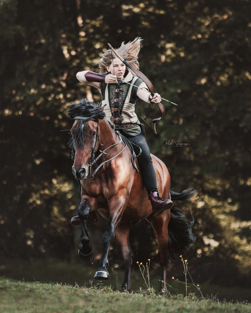 Mike Seizinger Photography